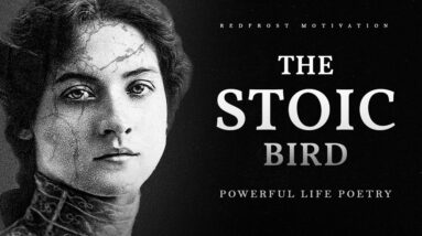 The Stoic Bird - E. Wylie (Powerful Life Poetry)