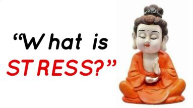 Stressed? Watch This!! Buddha Status on Stress | Buddha Quotes on Depression | Depression Status
