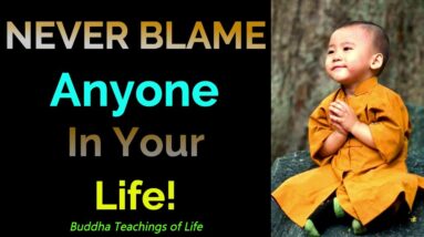 Never Blame Anyone In Your Life! Gautam Buddha WhatsApp Status | Buddha Life Quotes WhatsApp Status