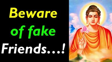 Beware of Fake Friends..! Buddha Quotes On Friendship Pt.2 | Friendship Quotes | True Friends Quotes