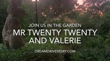 Dream Driven Day - A chat in the Garden with Valerie