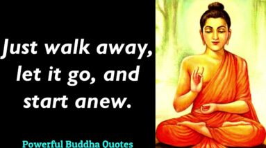 Walk Away, Let it Go & Start Anew! Powerful Buddha Quotes That Will Change Your Life | Buddha Quotes