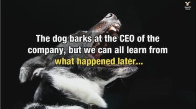 The dog barks at the CEO of the company, but we can all learn from what happened later...