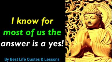 I Know For Most Of Us The Answer is Yes!! Buddha Quotes On Humility And  Perseverance | Inspiration.