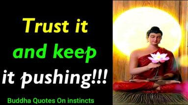 Trust It & Keep It Pushing!! Inspiring Buddha Quotes On Instincts | Best Buddha Quotes | Buddhism