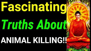 Fascinating Truth About Killing Animals! Buddha Quotes on Animal Killing |Buddhism on Animal Killing